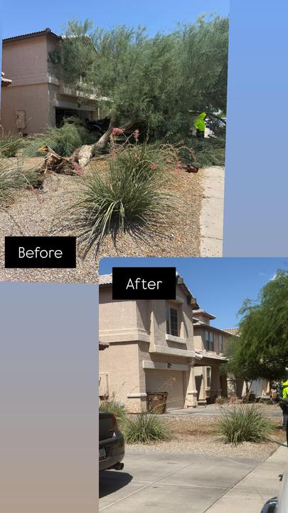 Before and after yard cleanup by Family Tree Trimming