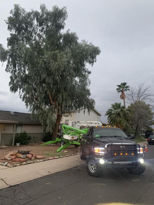 Family Tree Trimming truck and lift on a tree job